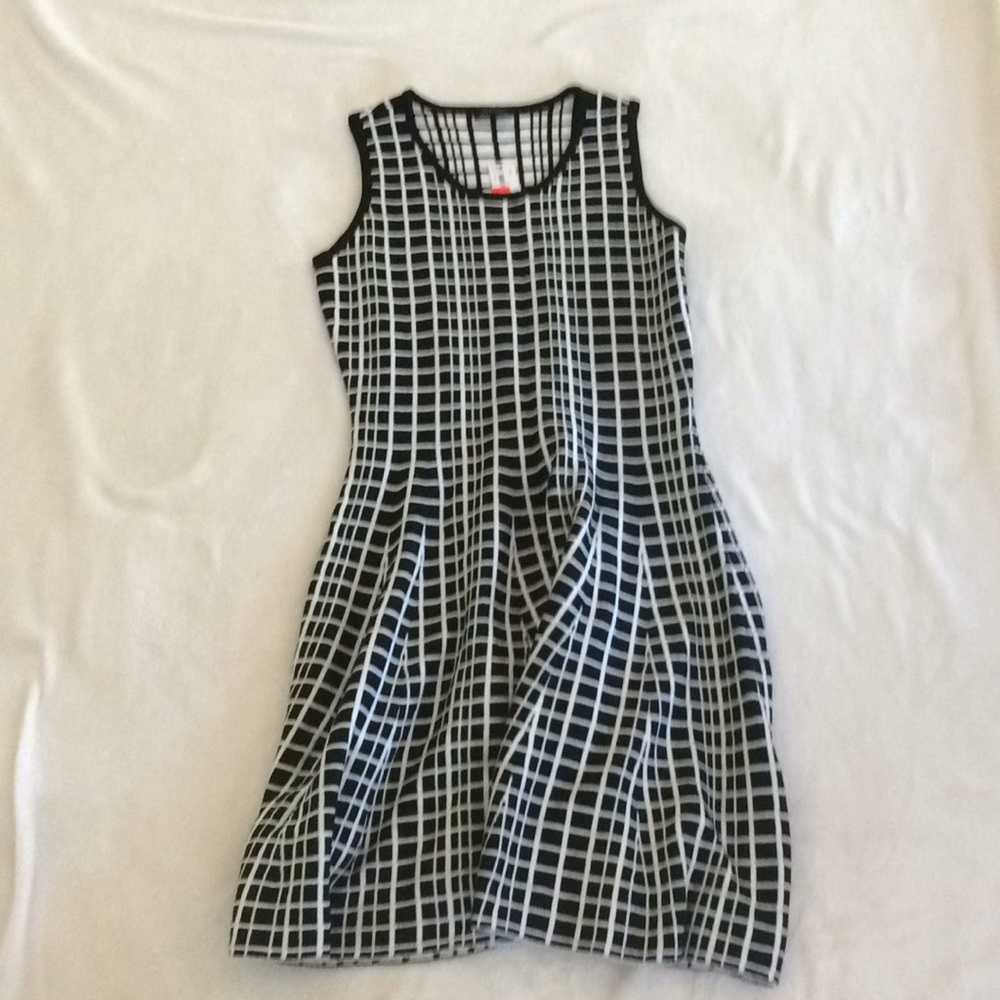 The Limited dress